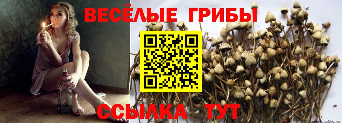 Псилоцибиновые грибы мухоморы Дзержинск