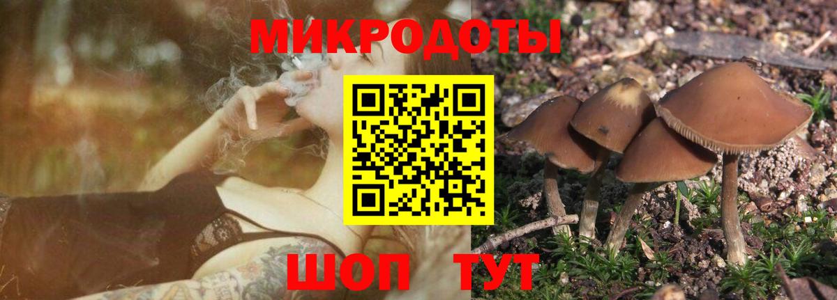 Кокаин  МЕФ кристаллы  Дзержинск  Где купить  ГАШ  Вход с VPN 